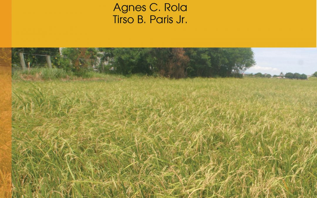 Agricultural Policy Perspectives from the Philippines and Other Developing Countries