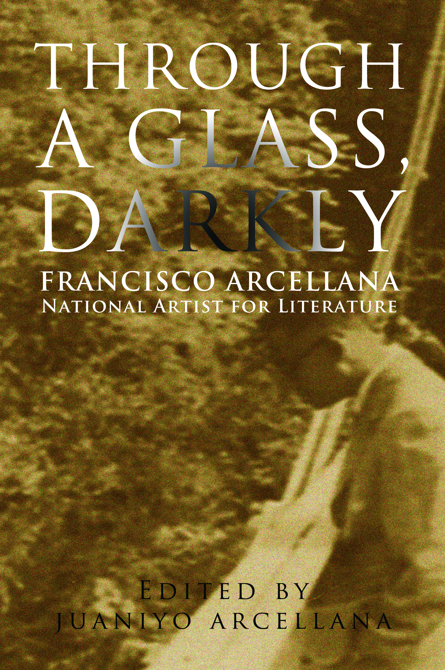 Through A Glass Darkly University Of The Philippines Press