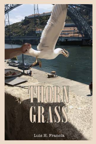 Thorn Grass