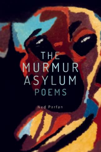 The Murmur Asylum Poems (Reprint)